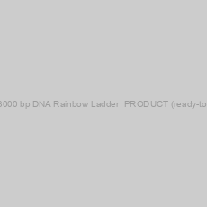 Image of 100-3000 bp DNA Rainbow Ladder  PRODUCT (ready-to-use)
